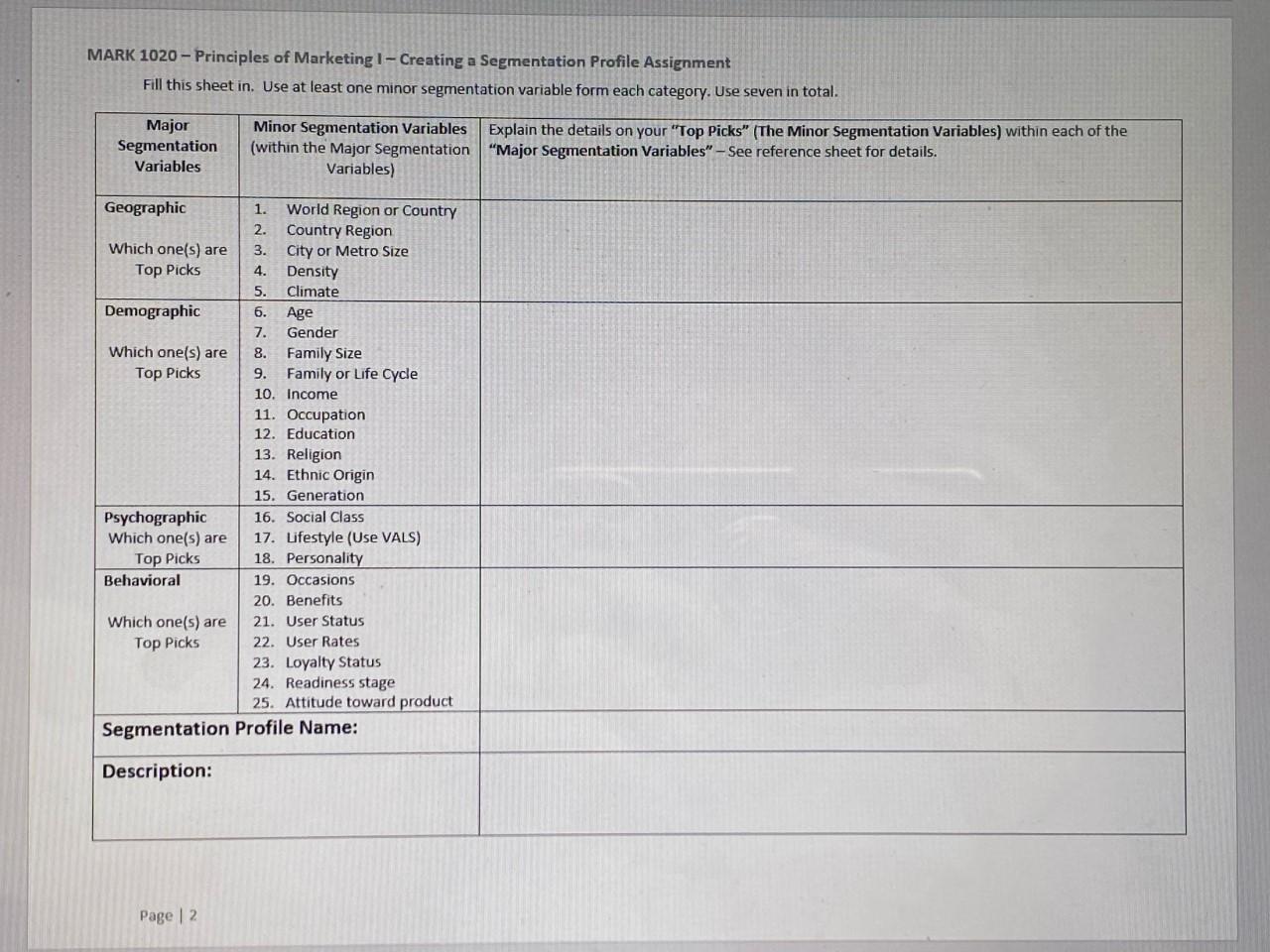 create a written Segmentation Description based