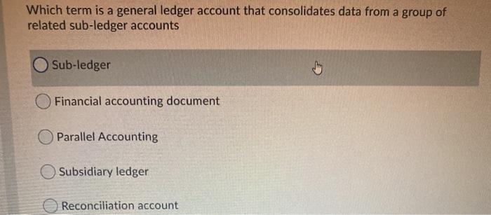 Which term is a general ledger account that