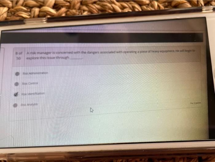 of Arisk manager is concerned with the dangers
