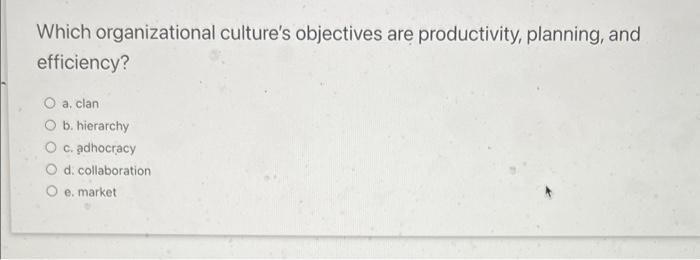 The leadership focus on culture. is/are