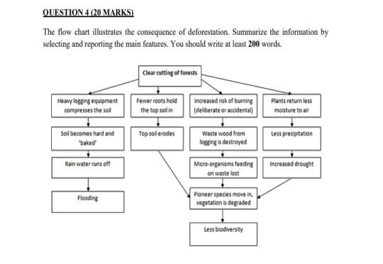 QUESTION 4 (20 MARKS) The flow chart illustrates