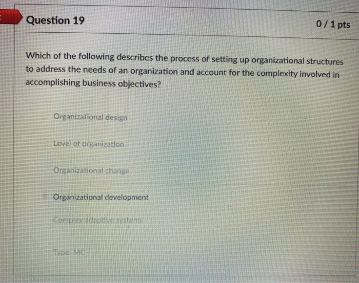 Question 19 0/1 pts Which of the following