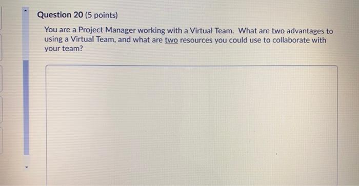 Question 20 (5 points) You are a Project Manager