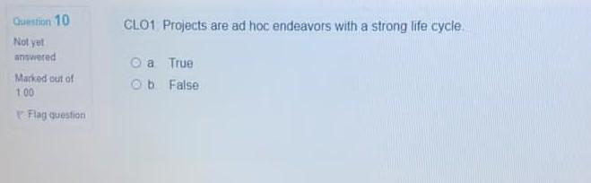 Question 10 CLO1 Projects are ad hoc endeavors