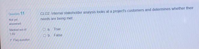 Question 10 CLO1 Projects are ad hoc endeavors
