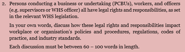 2. Persons conducting a business or undertaking