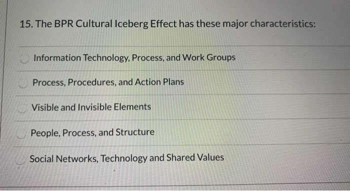 15. The BPR Cultural Iceberg Effect has these