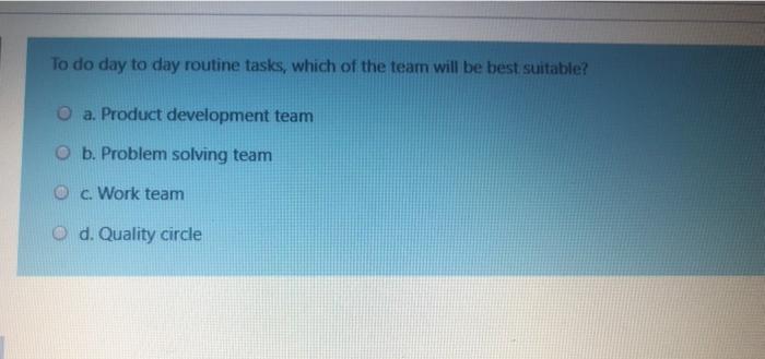 To do day to day routine tasks, which of the team