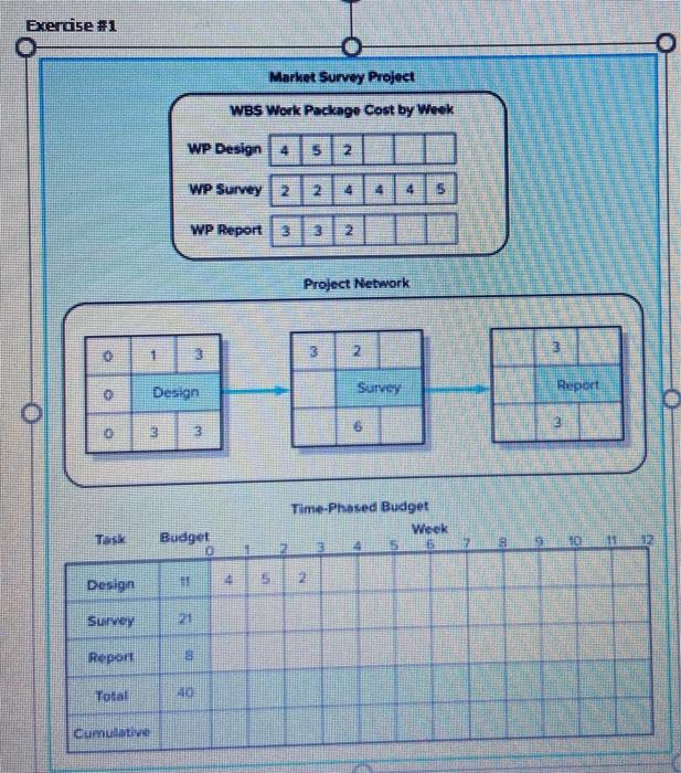 Exercise #1 O Market Survey Project WBS Work