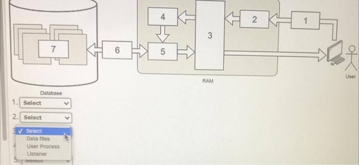 Processing a SQL query The marketing manager