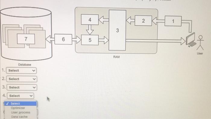 Processing a SQL query The marketing manager