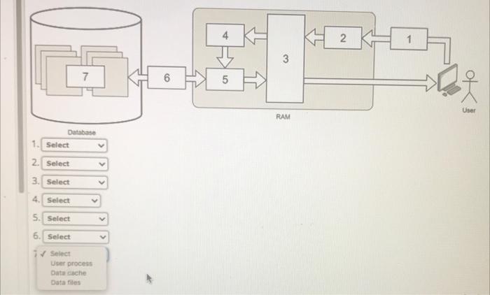 Processing a SQL query The marketing manager