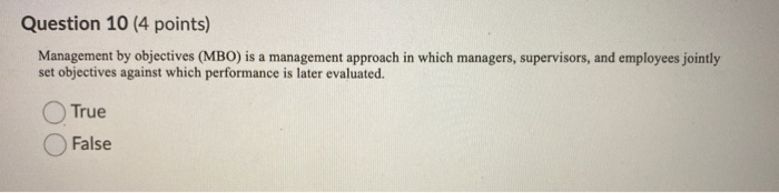 Question 13 (4 points) A(n) is a long-term plan