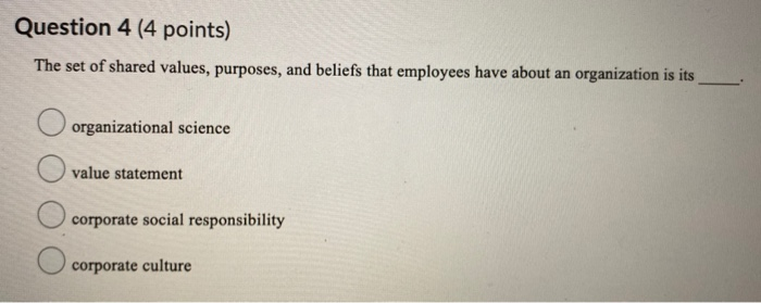 Question 13 (4 points) A(n) is a long-term plan