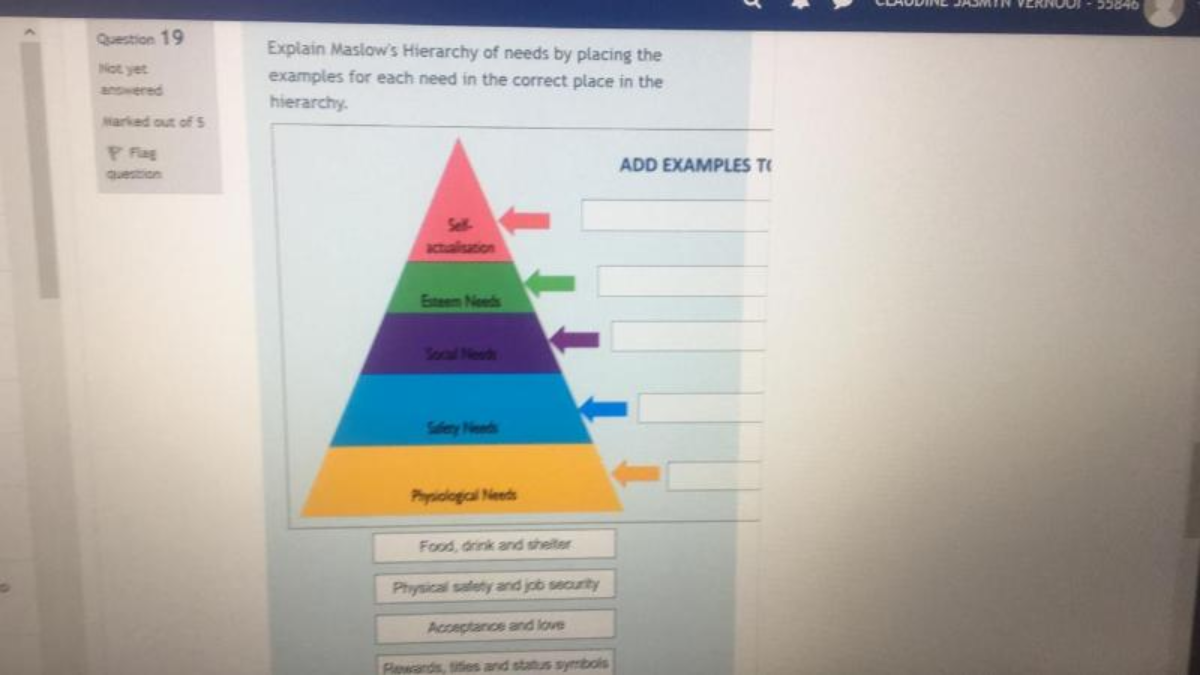 Question 19 Explain Maslow's Hierarchy of needs