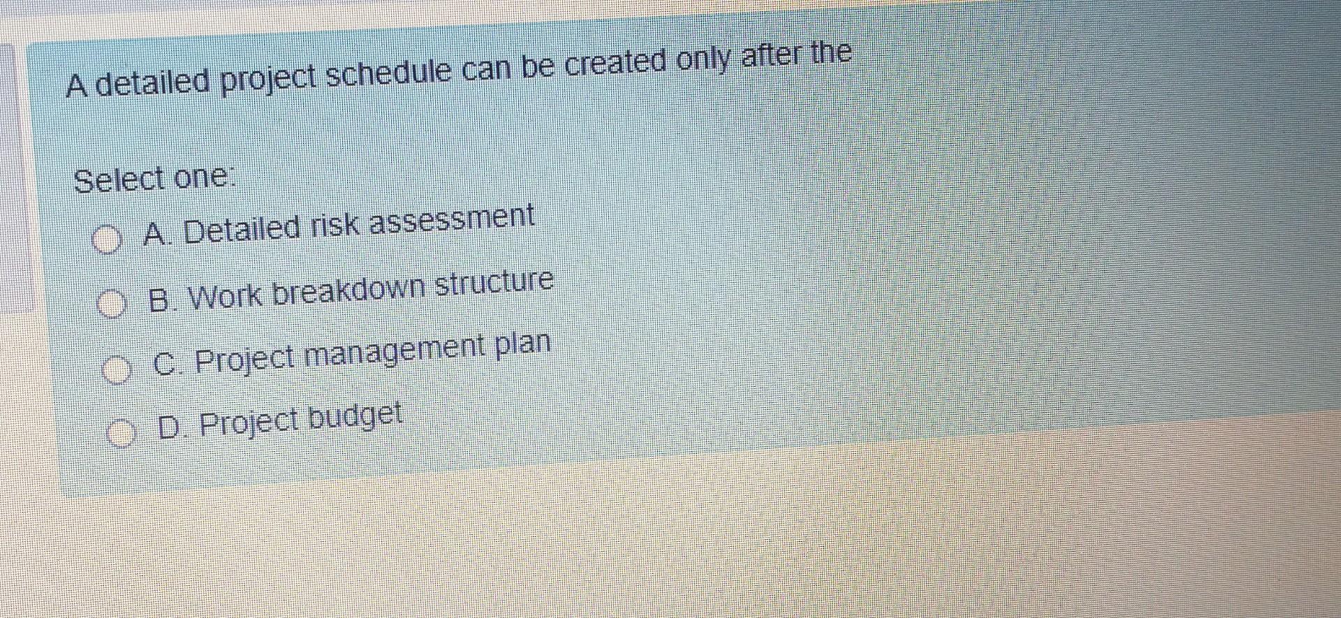 A detailed project schedule can be created only