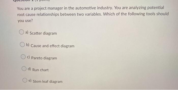 You are a project manager in the automotive
