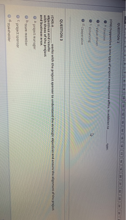 QUESTION 2 (CHA) Supportive is one type of proje