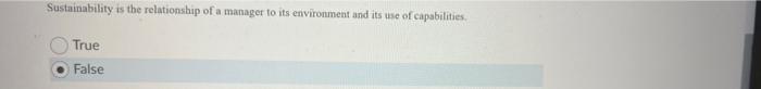 Sustainability is the relationship of a manager