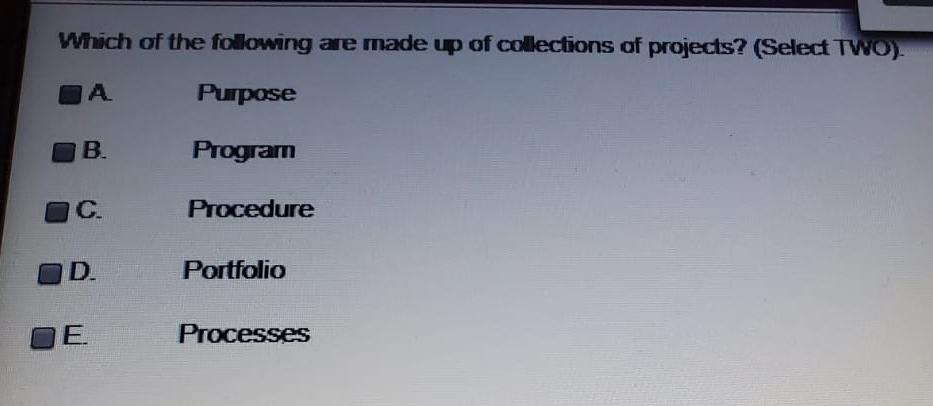 A project manager recently joined a projectized