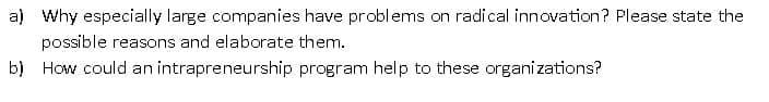 a) Why especially large companies have problems