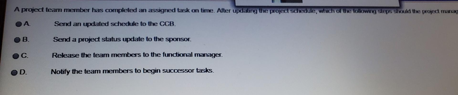 A solid line is connecting a project team member