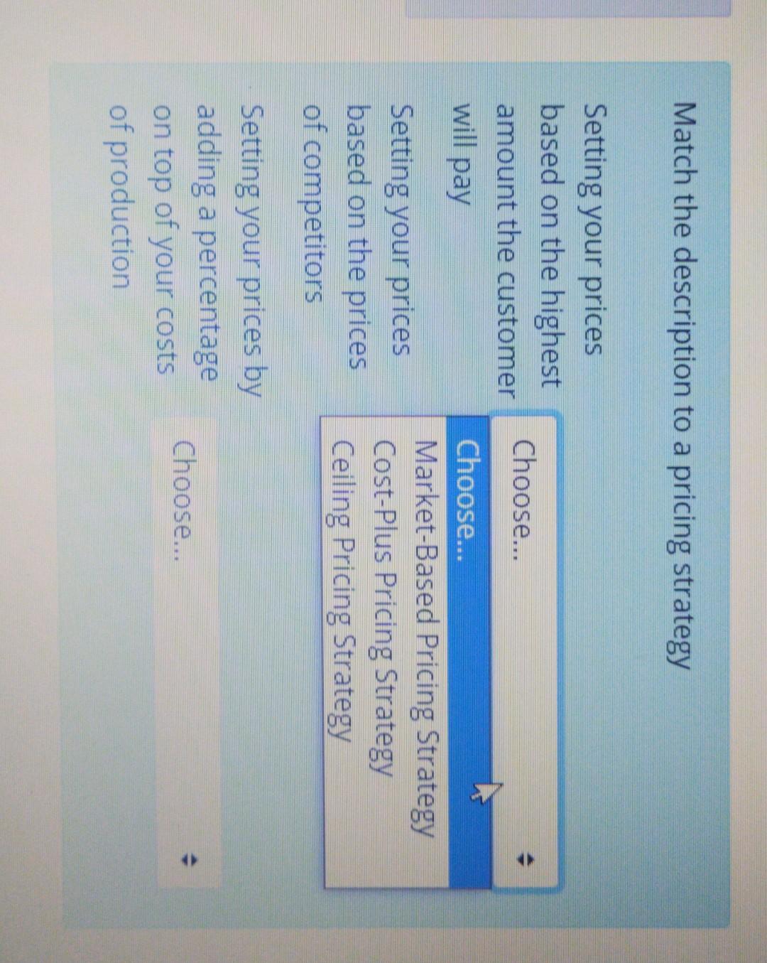 Match the description to a pricing strategy