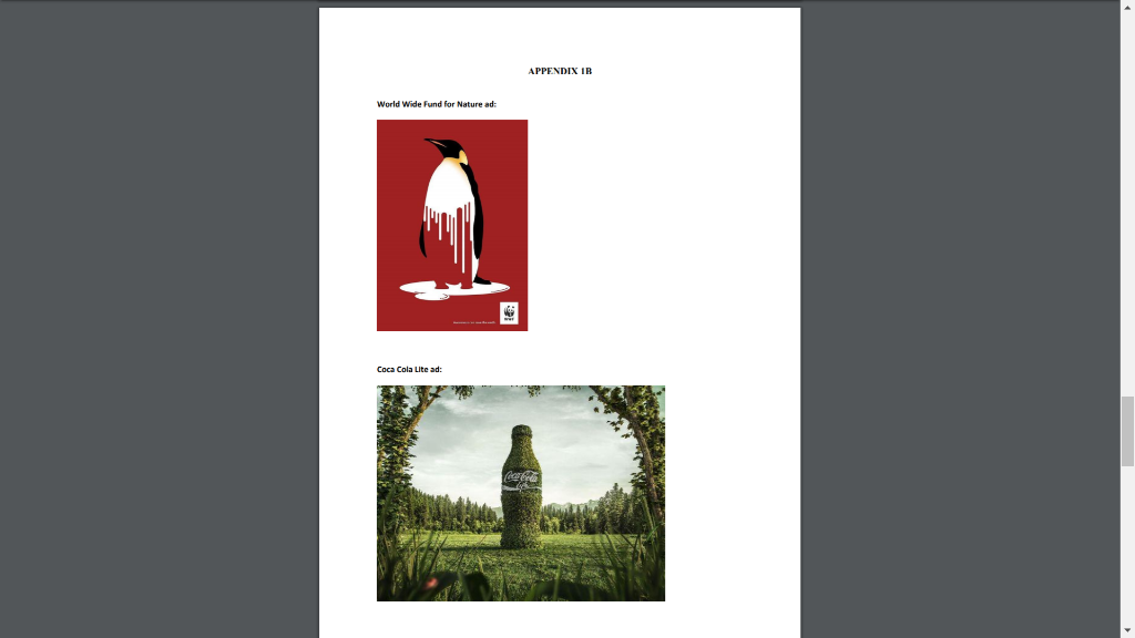 Please help give me the guideline for this