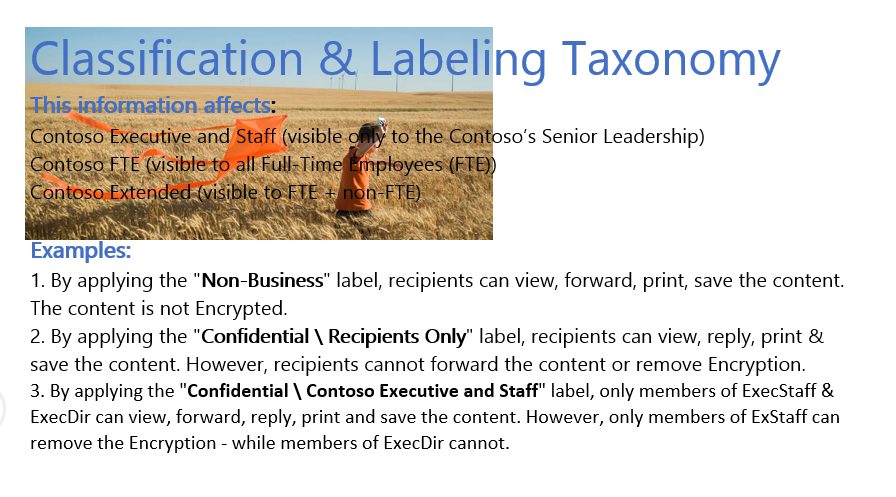 Classification & Labeling Taxonomy & This