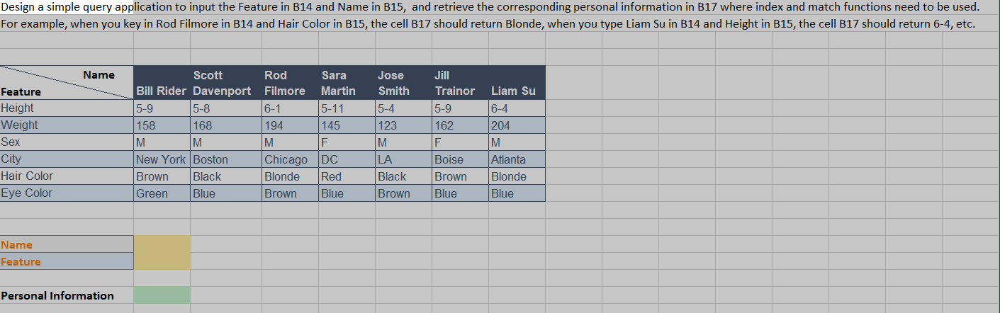 Design a simple query application to input the
