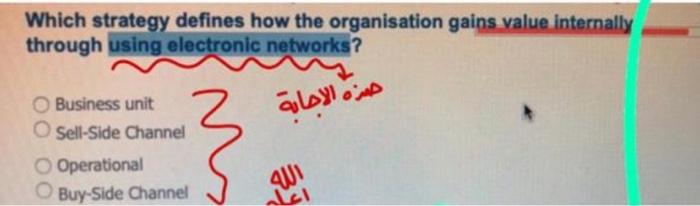 Which strategy defines how the organisation gains