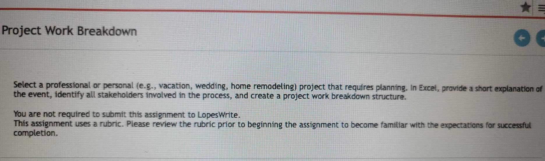 Project Work Breakdown Select a professional or