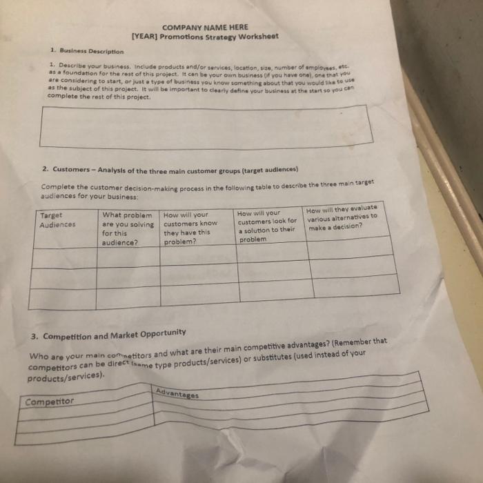 COMPANY NAME HERE [YEAR] Promotions Strategy