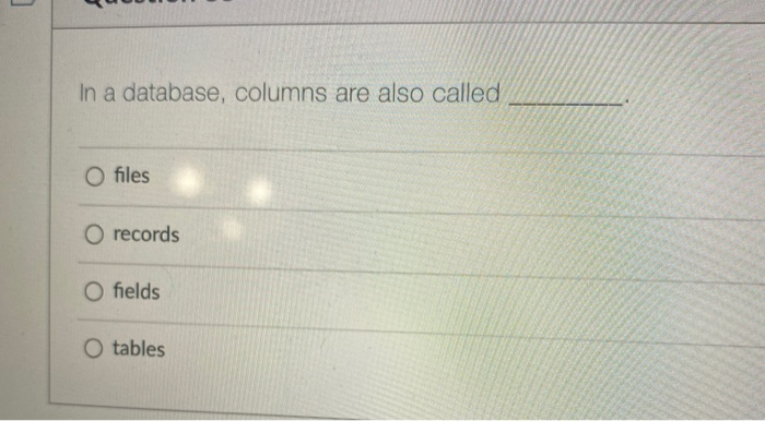 D In a database, columns are also called O files