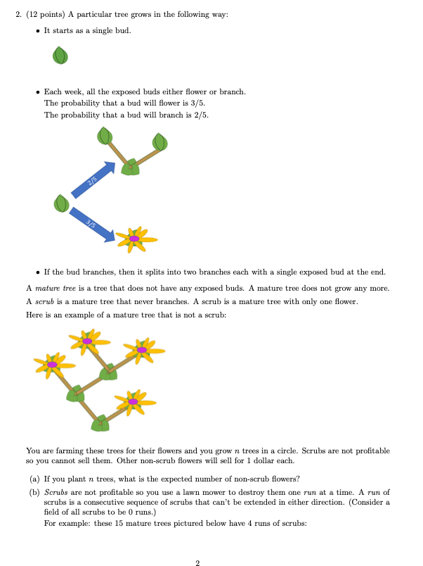 2. (12 points) A particular tree grows in the