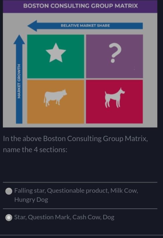 what's answer? BOSTON CONSULTING GROUP MATRIX