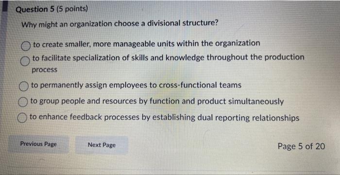 Why might an organization choose a divisional