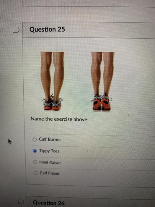 Question 25 Name the exercise above: Calf Burner