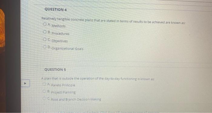 QUESTION 4 Relatively tangible concrete plans