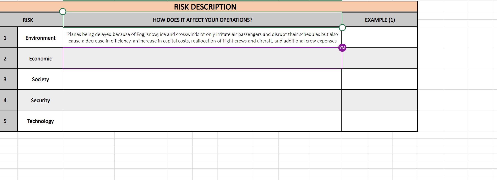 RISK DESCRIPTION RISK HOW DOES IT AFFECT YOUR