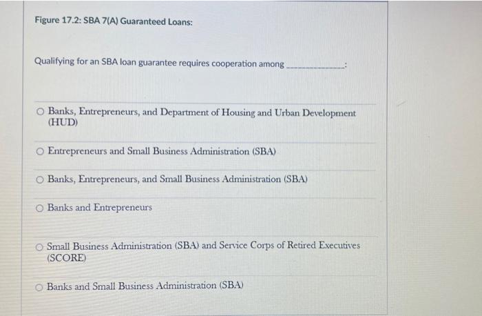 Figure 17.2: SBA 7(A) Guaranteed Loans: The SBA
