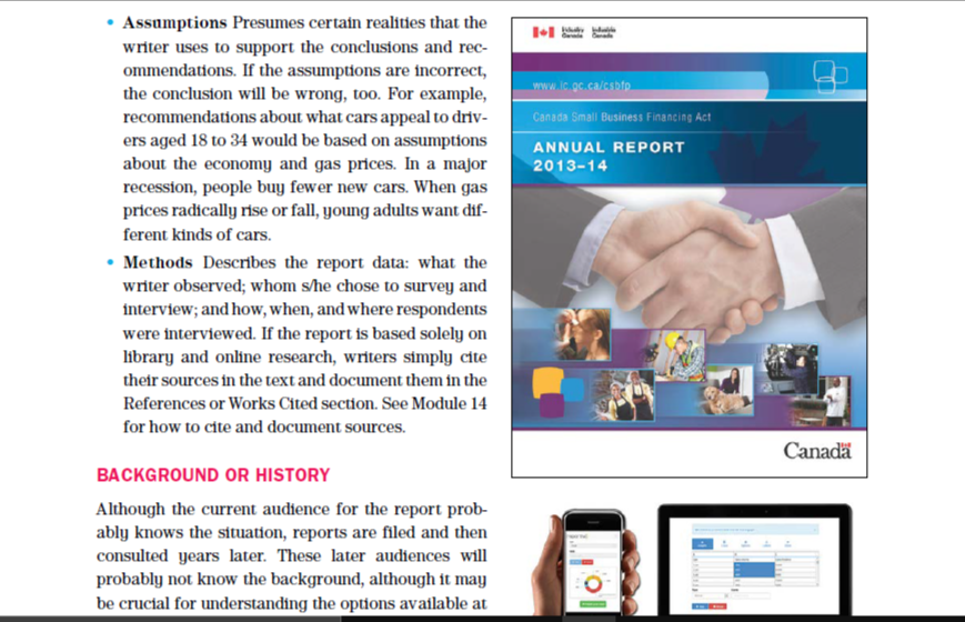 Background/History One page maximum, but may be