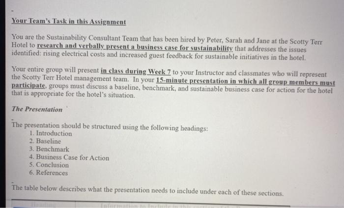 Your Team's Task in this Assignment You are the