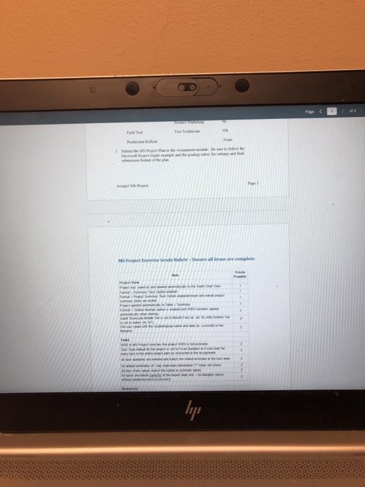 Assignment 4 (MS Project) - 30 pts. Individual