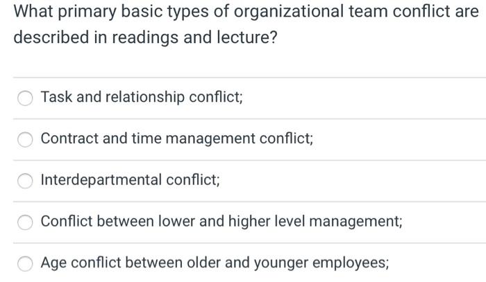 What primary basic types of organizational team