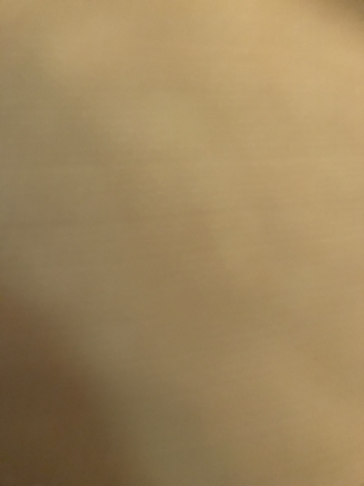 Instructions: Before answering this assignment,