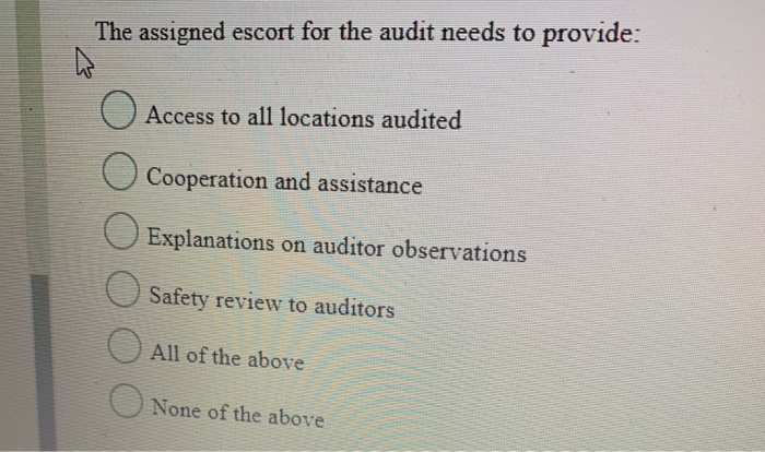 The assigned escort for the audit needs to