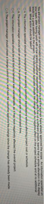 You are project manager on an information