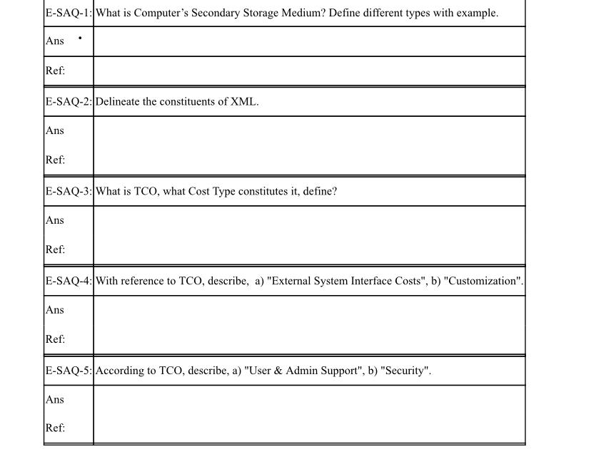 E-SAQ-1: What is Computer's Secondary Storage