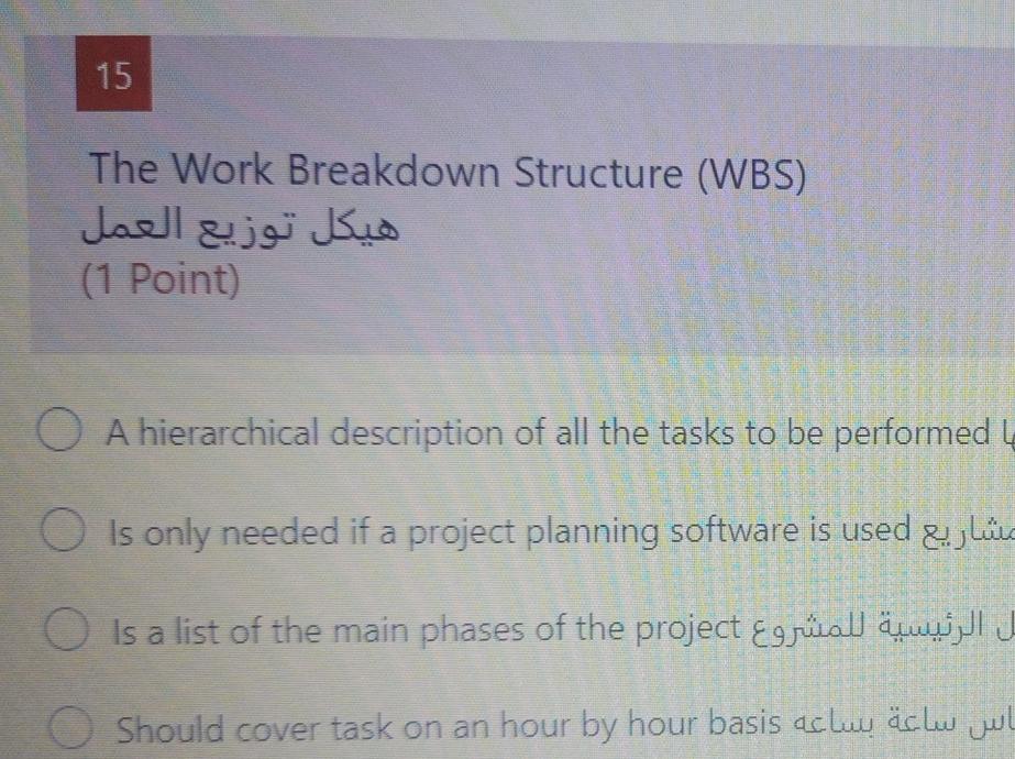 15 The Work Breakdown Structure (WBS) (1 Point) O